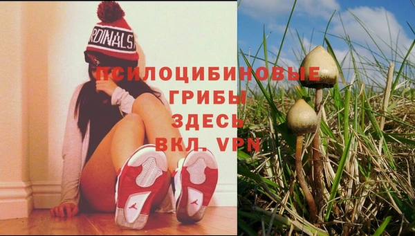 каннабис Балахна